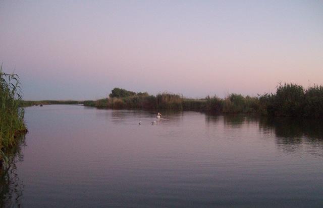 Delta forever - sany6770.JPG